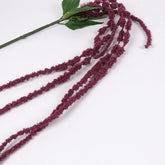 Amaranthus Stem in Burgundy